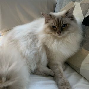 Meet your Posher, Debi